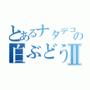 とあるナタデココの白ぶどうⅡ（）