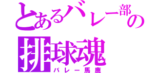 とあるバレー部の排球魂（バレー馬鹿）