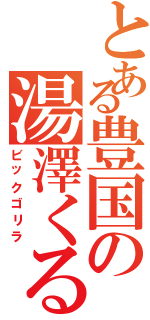 とある豊国の湯澤くるみ（ビックゴリラ）