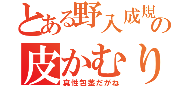 とある野入成規の皮かむり（真性包茎だがね）