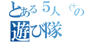 とある５人（＋１人）の遊び隊（）