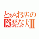 とあるお店の険悪な犬猫Ⅱ（９６猫＆コゲ犬）