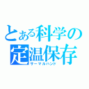 とある科学の定温保存（サーマルハンド）