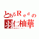 とあるＲｅｄ Ｓａｎｓの羽仁柚華（入団しました（∗•ω•∗））