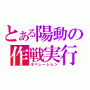 とある陽動の作戦実行（オペレ－ション）