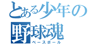 とある少年の野球魂（ベースボール）