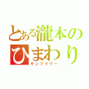 とある瀧本のひまわり（サンフラワー）