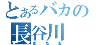 とあるバカの長谷川（まだお）