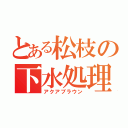 とある松枝の下水処理（アクアブラウン）