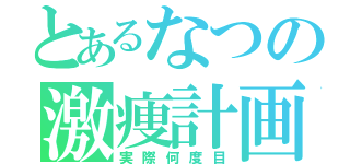 とあるなつの激痩計画（実際何度目）