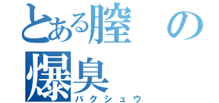 とある膣の爆臭（バクシュウ）