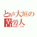 とある大垣の苦労人（たかはし こうき）