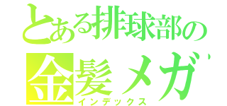 とある排球部の金髪メガネ（インデックス）