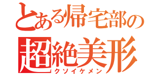 とある帰宅部の超絶美形（クソイケメン）