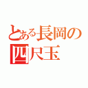 とある長岡の四尺玉（）