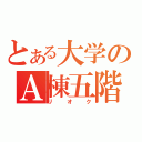 とある大学のＡ棟五階（リオク）