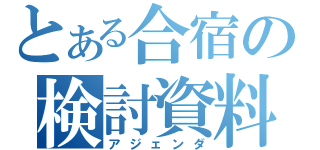 とある合宿の検討資料（アジェンダ）