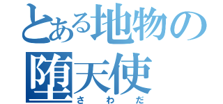 とある地物の堕天使（さわだ）