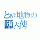 とある地物の堕天使（さわだ）