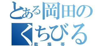 とある岡田のくちびる（乾燥帯）