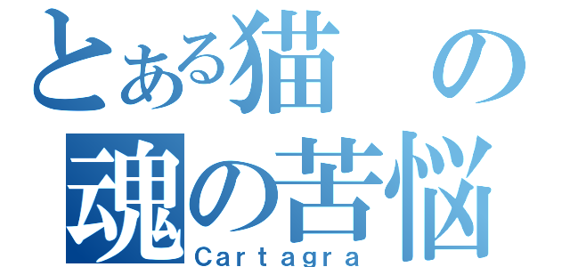 とある猫の魂の苦悩（Ｃａｒｔａｇｒａ）