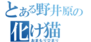 とある野井原の化け猫（おまもりひまり）