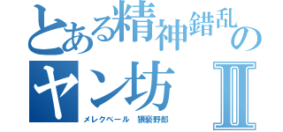 とある精神錯乱のヤン坊Ⅱ（メレクベール 猥褻野郎）