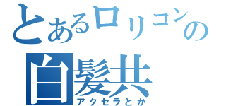 とあるロリコンの白髪共（アクセラとか）