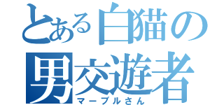 とある白猫の男交遊者（マーブルさん）