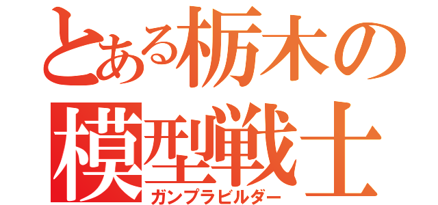 とある栃木の模型戦士（ガンプラビルダー）