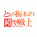 とある栃木の模型戦士（ガンプラビルダー）