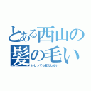 とある西山の髪の毛いじり（いじっても変化しない）