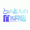 とある素人の白馬降臨（ホワイトホース）