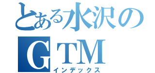 とある水沢のＧＴＭ（インデックス）