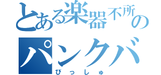 とある楽器不所持のパンクバンド（びっしゅ）