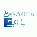 とあるＡＯＨのこぶし（暴力）