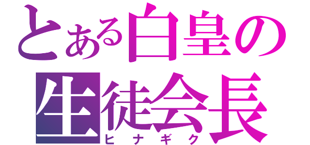 とある白皇の生徒会長（ヒナギク）