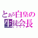 とある白皇の生徒会長（ヒナギク）