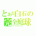 とある白石の完全庭球（パーフェクトテニス）