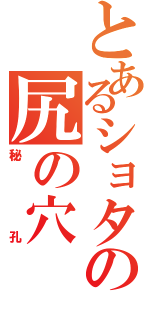 とあるショタの尻の穴（秘孔）