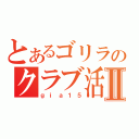 とあるゴリラのクラブ活動Ⅱ（ｇｉａ１５）