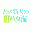 とある新太の山崎夏海（ニューヨーク）