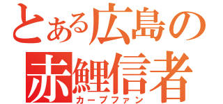 とある広島の赤鯉信者（カープファン）