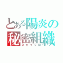 とある陽炎の秘密組織（メカクシ団）