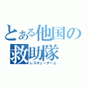 とある他国の救助隊（レスキューチーム）