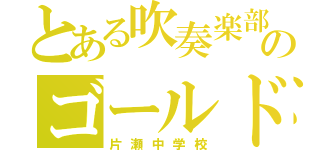 とある吹奏楽部のゴールド金賞（片瀬中学校）