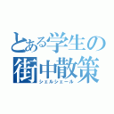 とある学生の街中散策（シェルシェール）