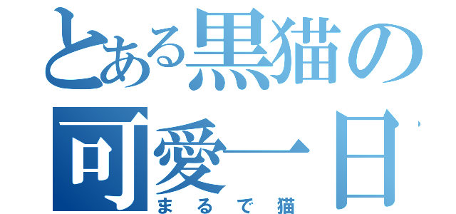 とある黒猫の可愛一日（まるで猫）