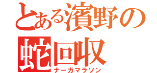 とある濱野の蛇回収（ナーガマラソン）