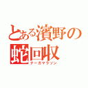 とある濱野の蛇回収（ナーガマラソン）